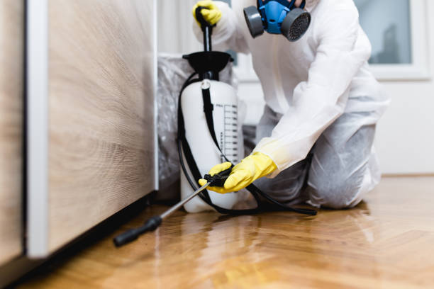 Best Pest Inspection Near Me  in Burt, MI