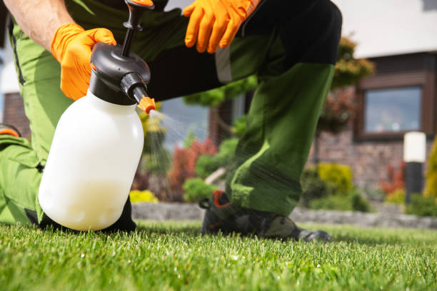 Best Bed Bug Extermination  in Burt, MI