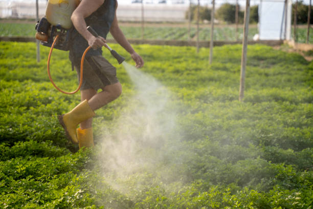 Best Pest Control for Restaurants  in Burt, MI