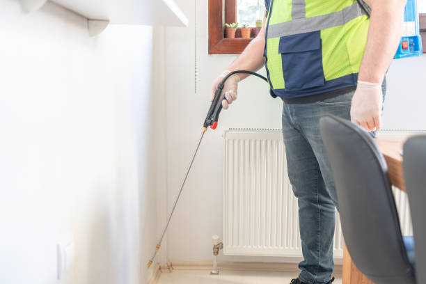 Best Residential Pest Control  in Burt, MI