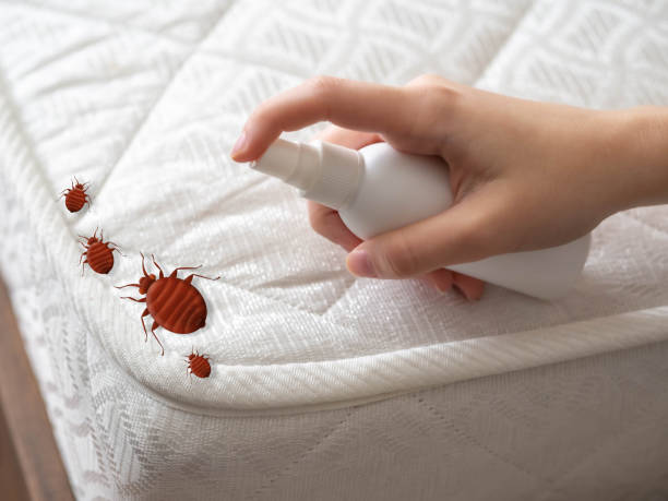 Best Wasp Removal Services  in Burt, MI